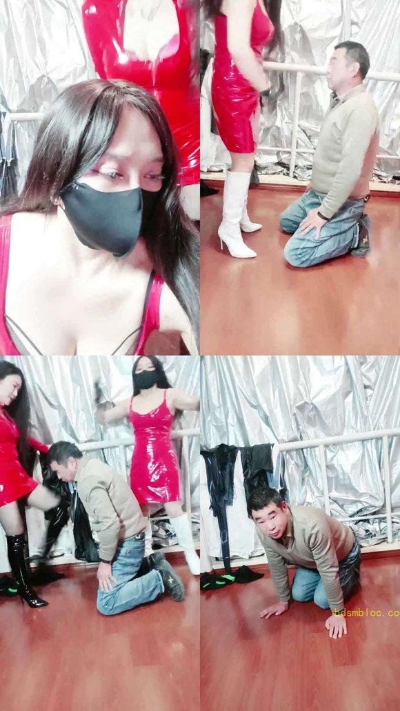 【南京冰炫女主】双s暴揍老狗