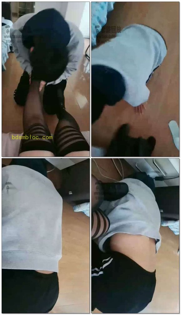 【学生诺熙S】学校解封后开始调狗了（一）