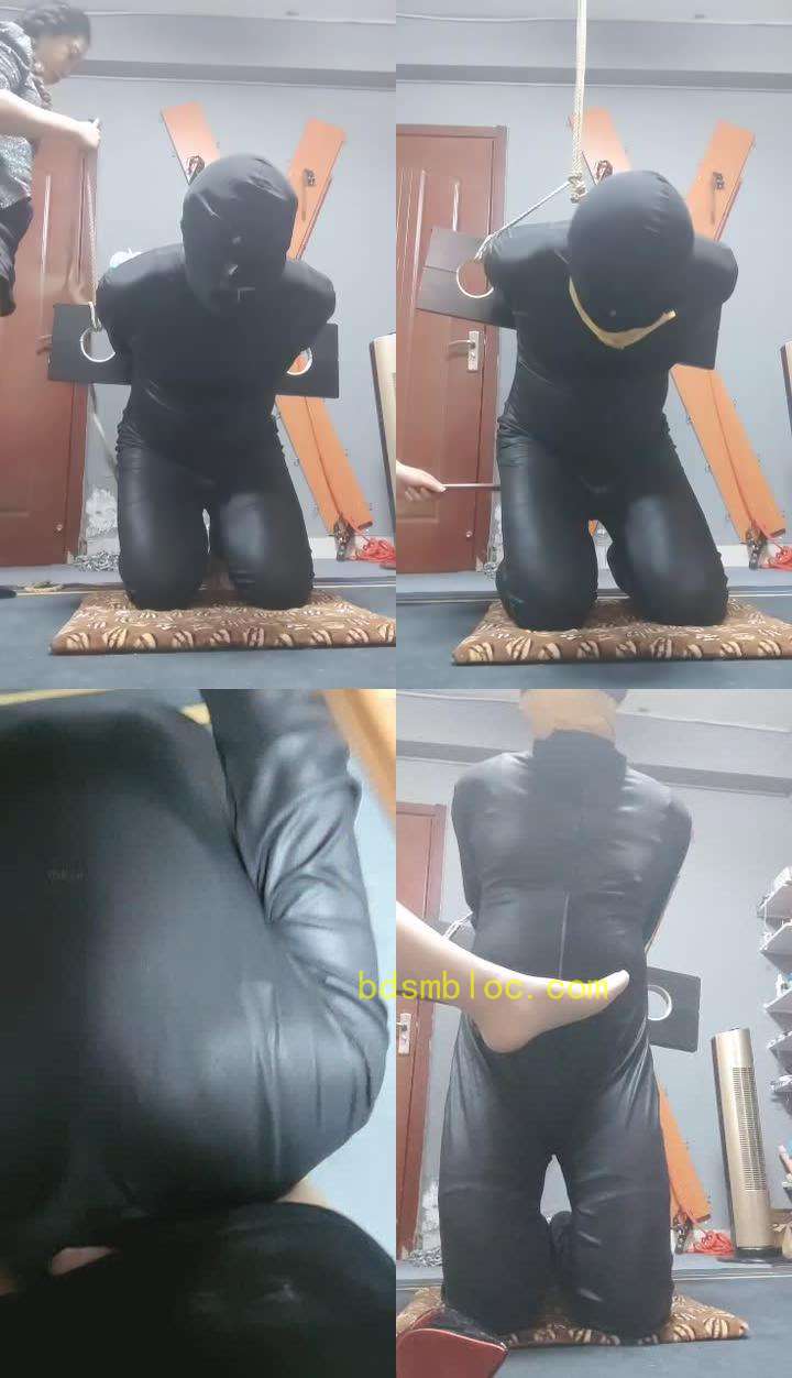 【东营天香百合】枷锁囚禁犯错的狗