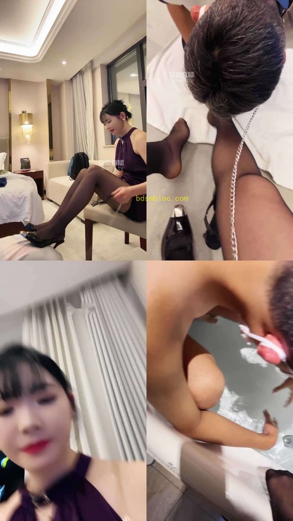 【彩虹S】开发素人小狗入门