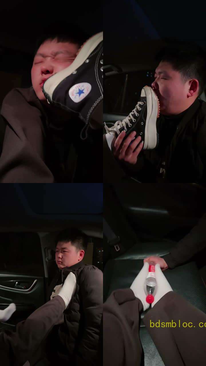 【鑫儿教头】暴力惩罚口嗨狗