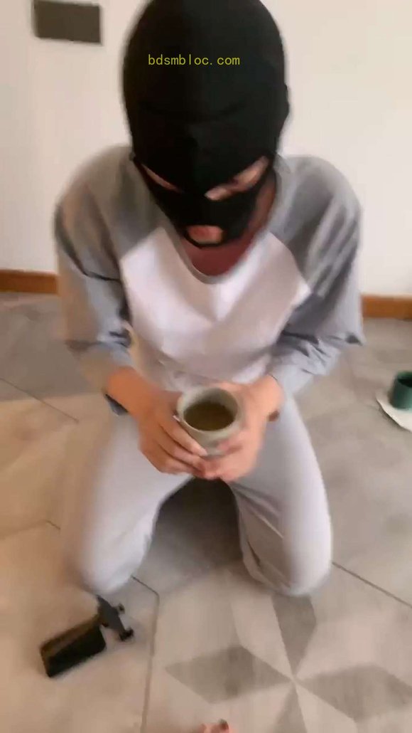【宝爷】主人的晨练