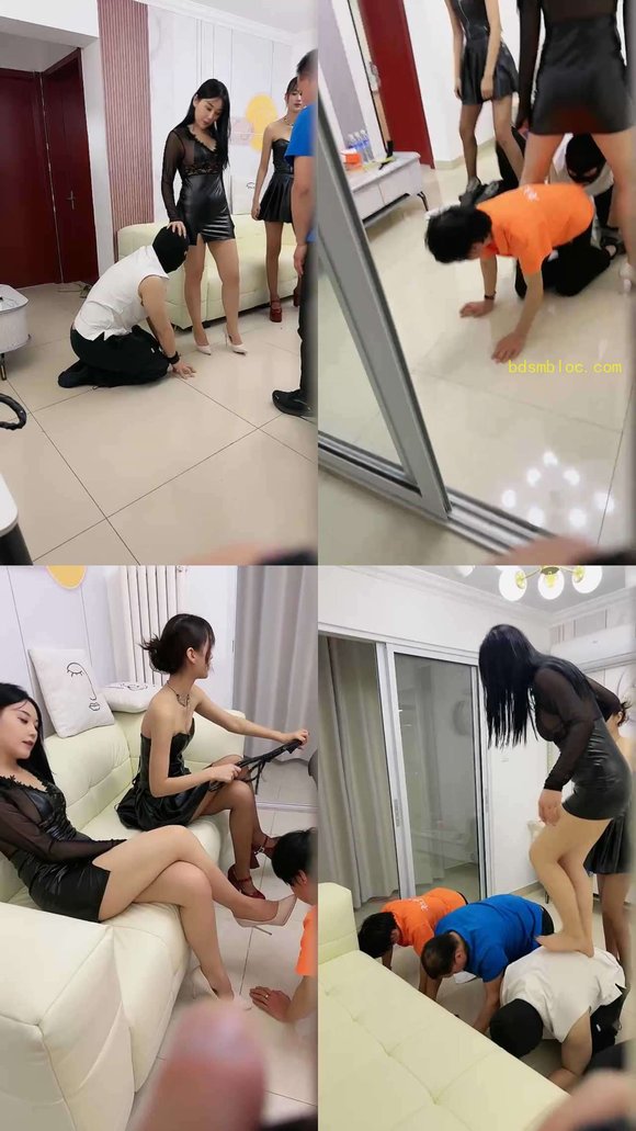 【乔伊S】乔伊S，Da猫双主TJ一家三狗