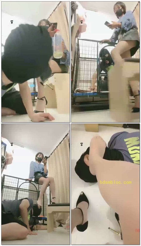 【美离子】又养一条圈养狗