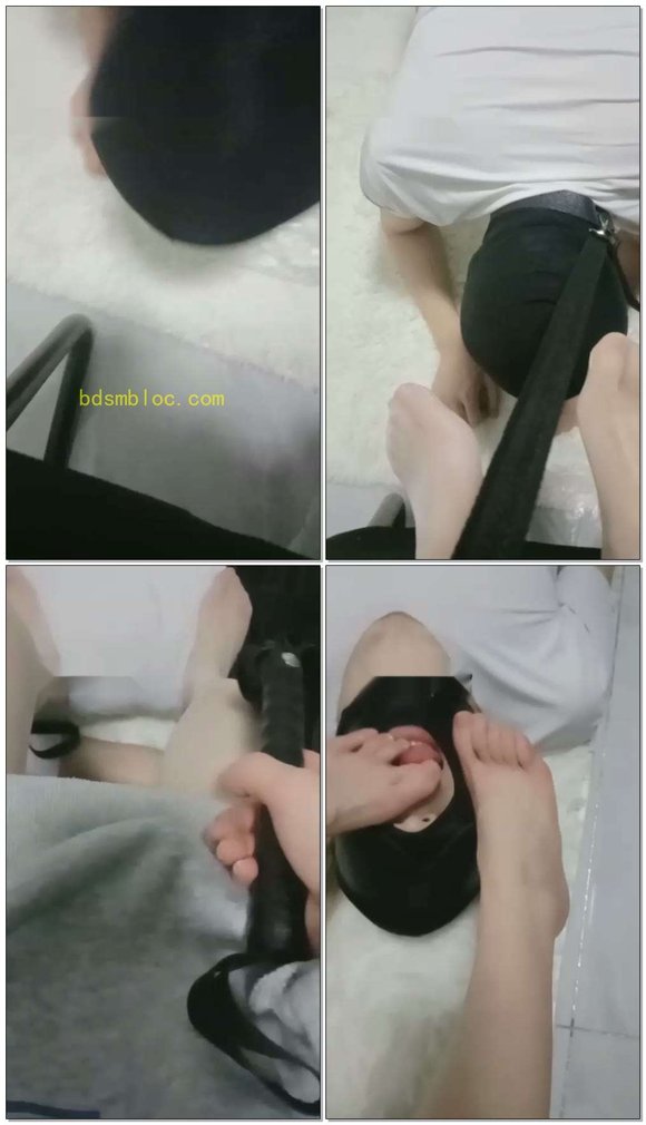 【画心s】我吃苹果狗子吃皮