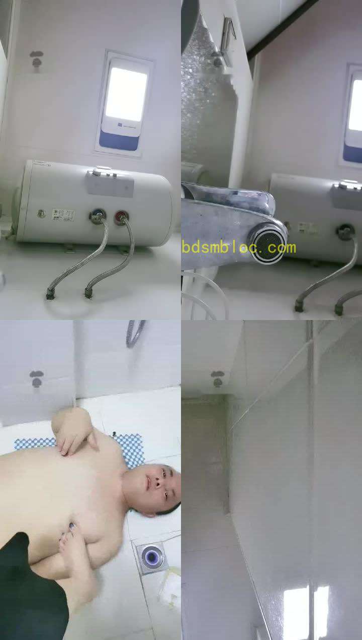 【豆爷S】夜间玩狗