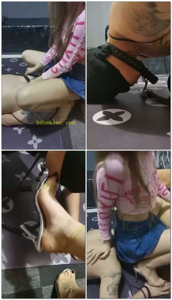 【北京宠儿s】随便玩狗