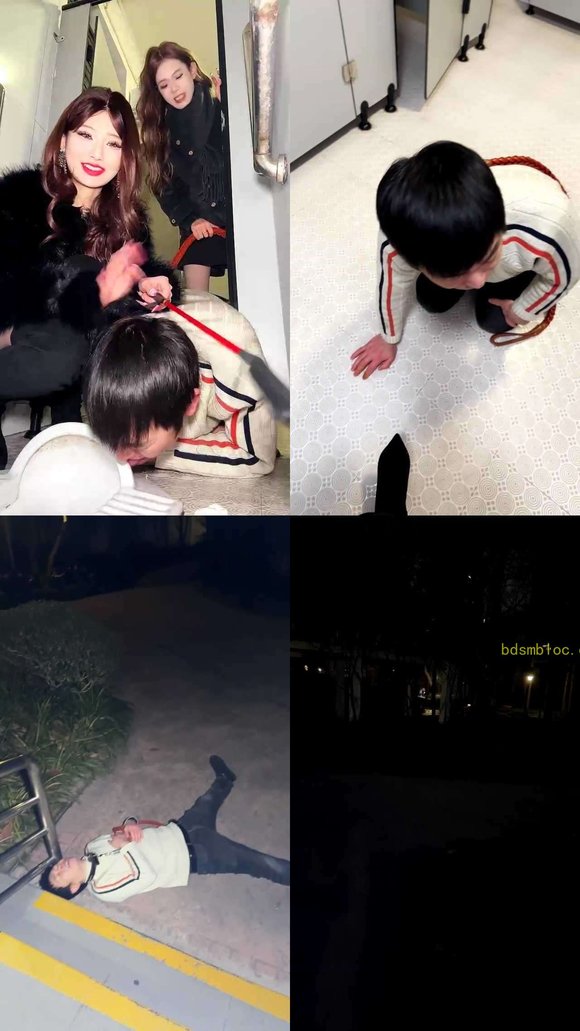 【欣然莫】双主户外女厕玩狗2
