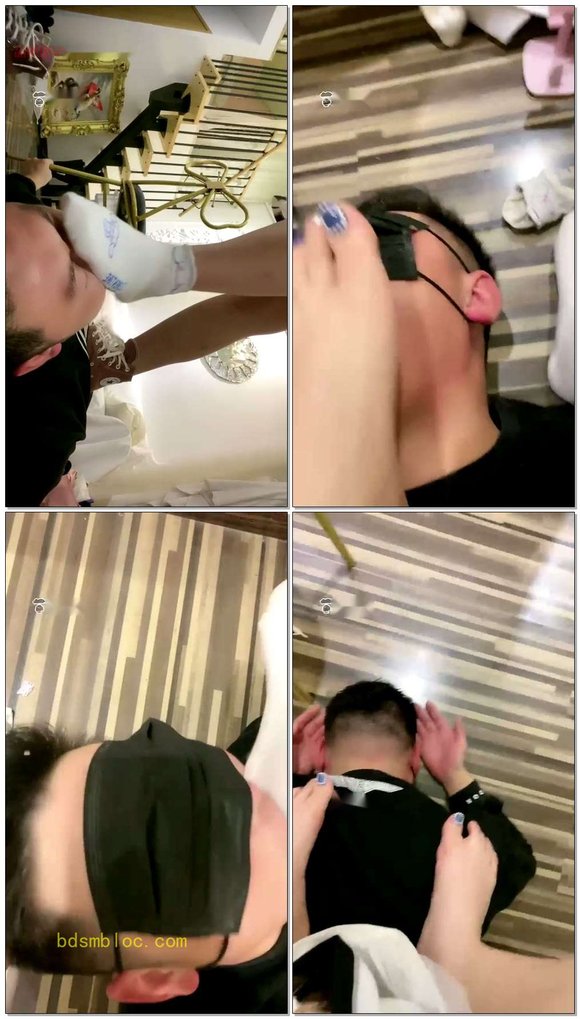 【机制宝宝】狗狗的第一次现实，喝圣水，舔帆布鞋，舔白袜