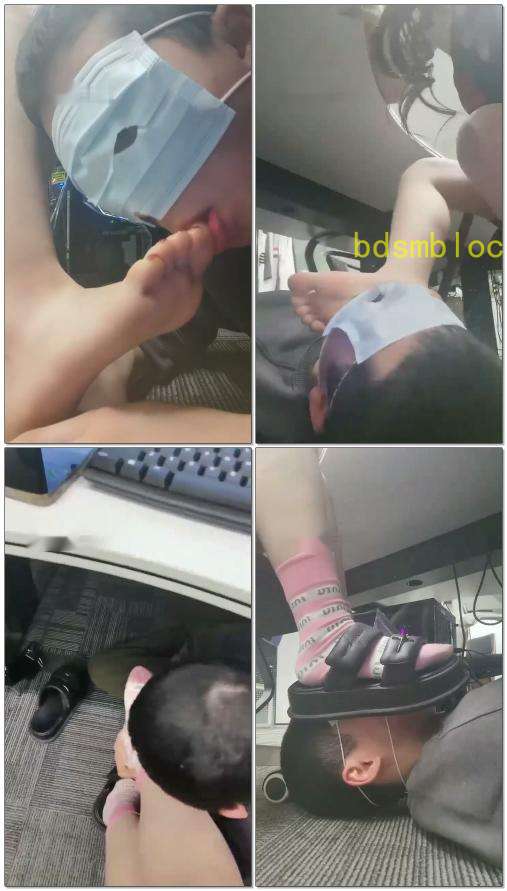 【双子姬】加班狗来擦鞋