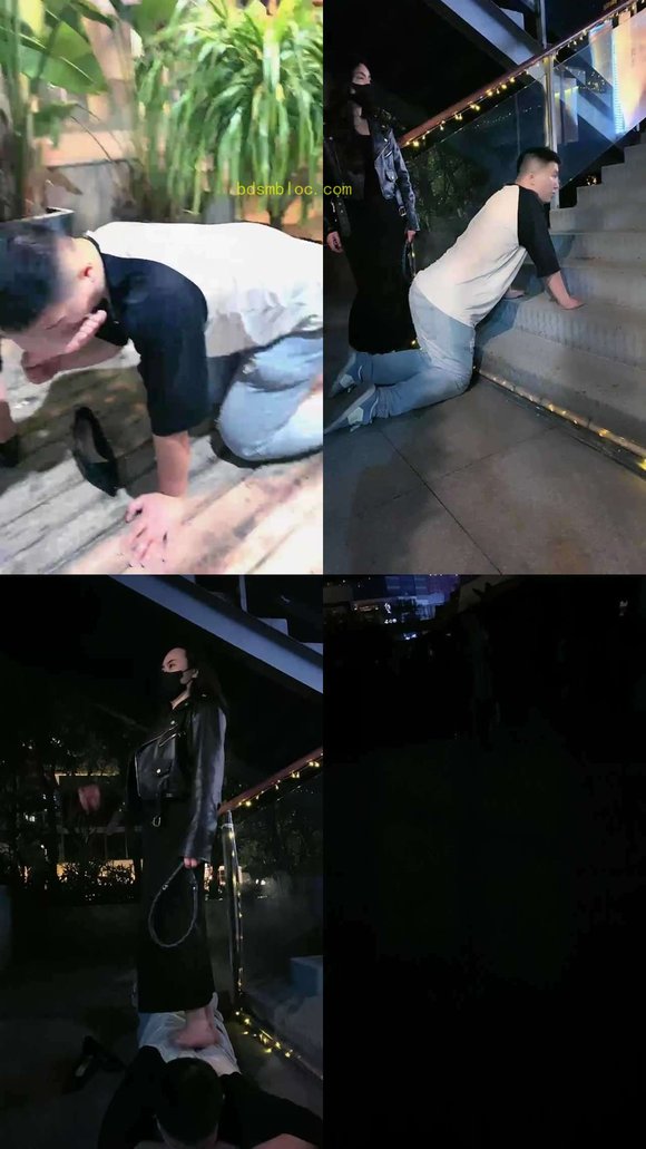 【御姐小妈晨晨S】第一次户外玩狗