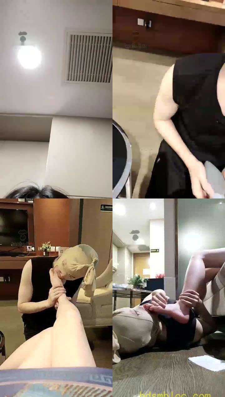 【哈宝】黑丝帆布鞋调狗狗