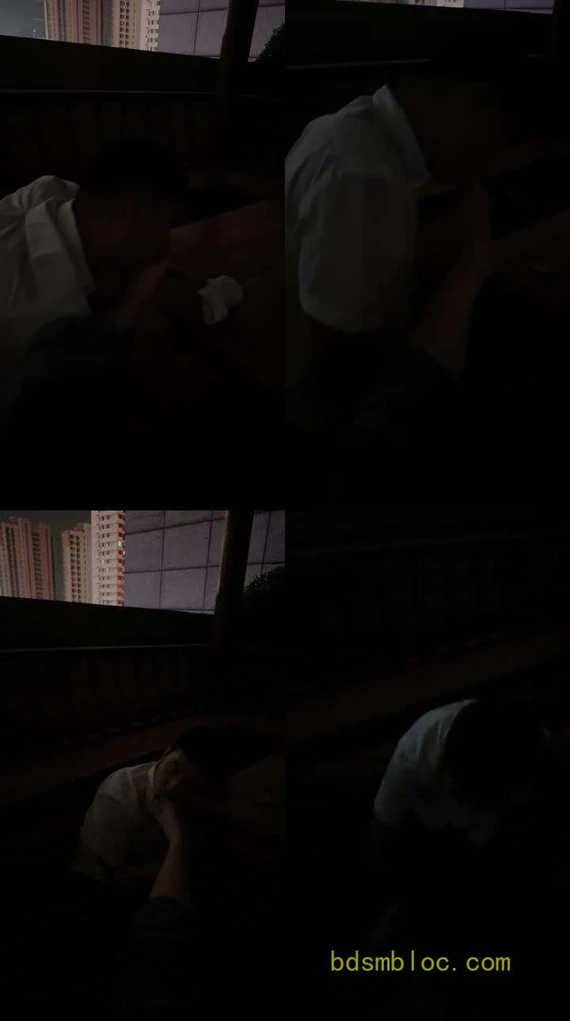 【吕雉大人】深夜户外玩狗