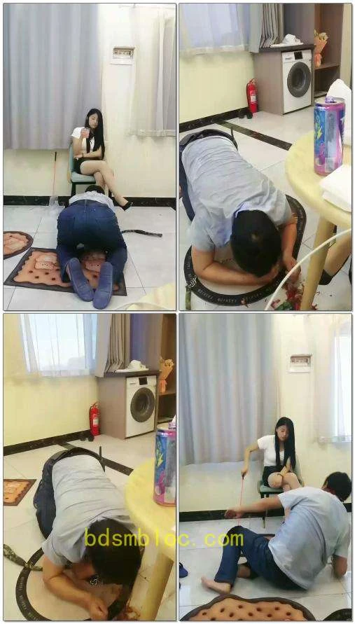 【天韵女皇】室内调狗