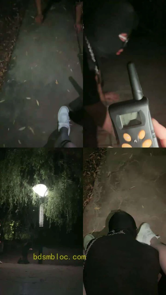 【语阳】带狗子户外玩咯
