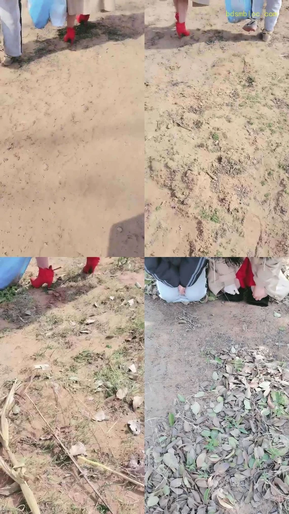 【君舞女王】野外开发
